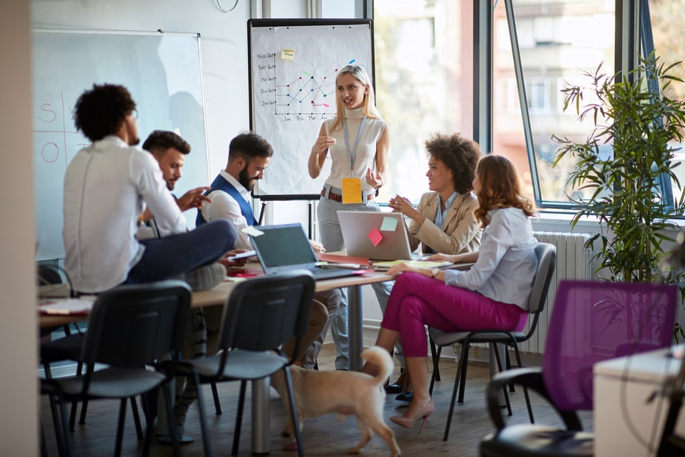 shutterstock_1672655215-min